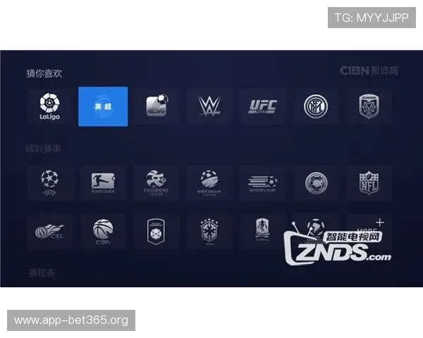 亚博体育APP全新升级体验，带你畅享极致赛事互动乐趣