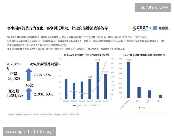 三亿体育全面解析打造专业体育娱乐平台引领行业新趋势与发展方向
