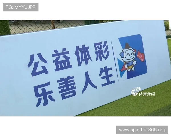 以中国体育彩票为核心解析其发展现状公益价值与未来趋势深度观察