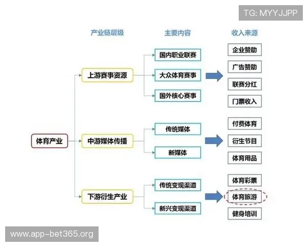 以摩登体育为核心探讨现代体育产业发展趋势与创新商业模式解析篇